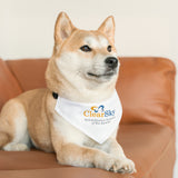 ClearSky Rehabilitation Hospital [Rio Rancho] | Pet Bandana Collar