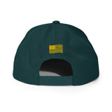 Rogue Biker Life | Freedom & Independence | Snapback Hat